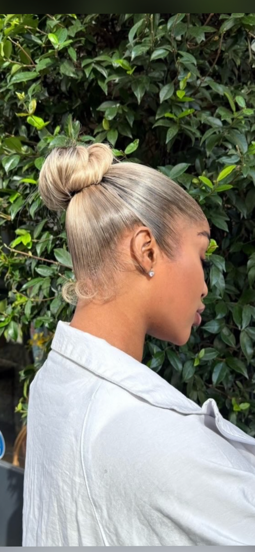 Pack - Blondish